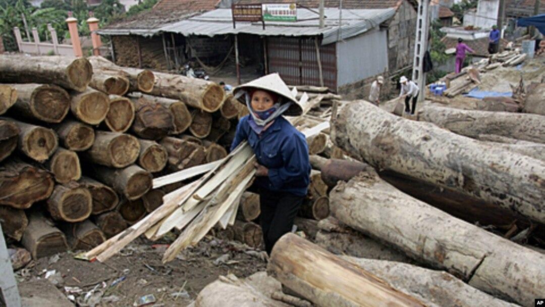 lâm nghiệp