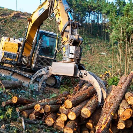 So sánh khai thác thủ công vs cơ giới trong lâm nghiệp