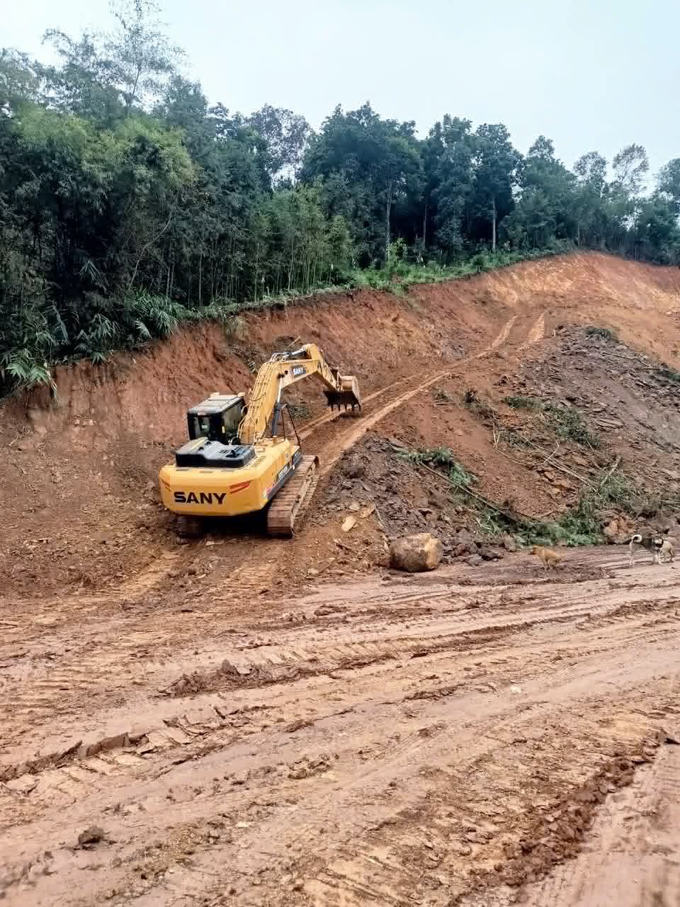 máy xúc sany