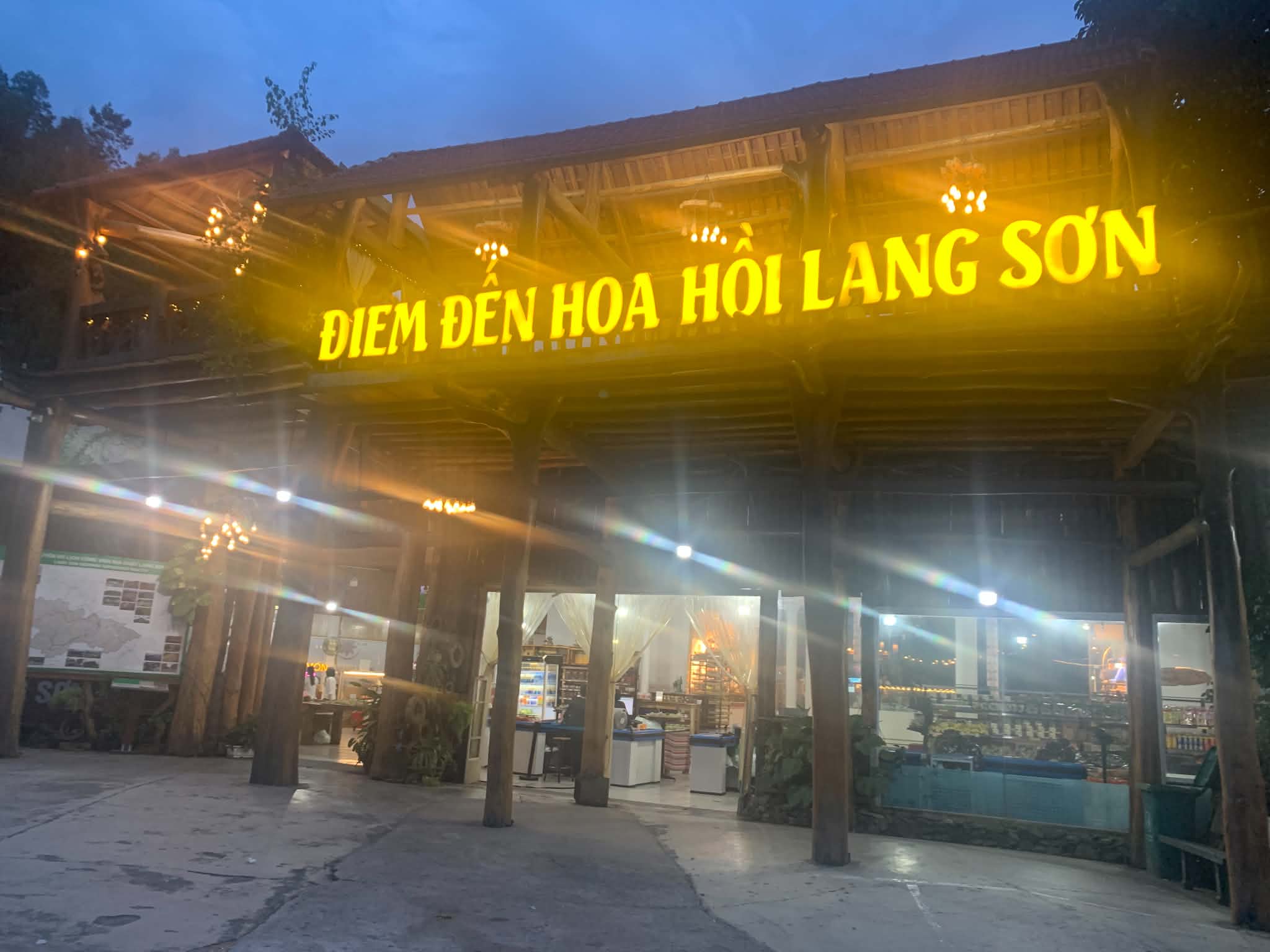 hoa hồi quán