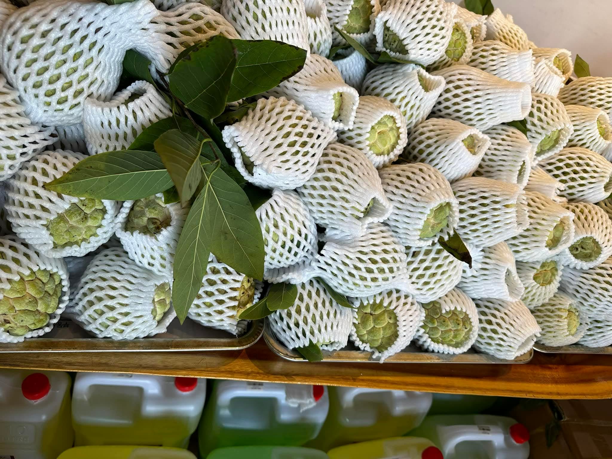 hoa hồi quán