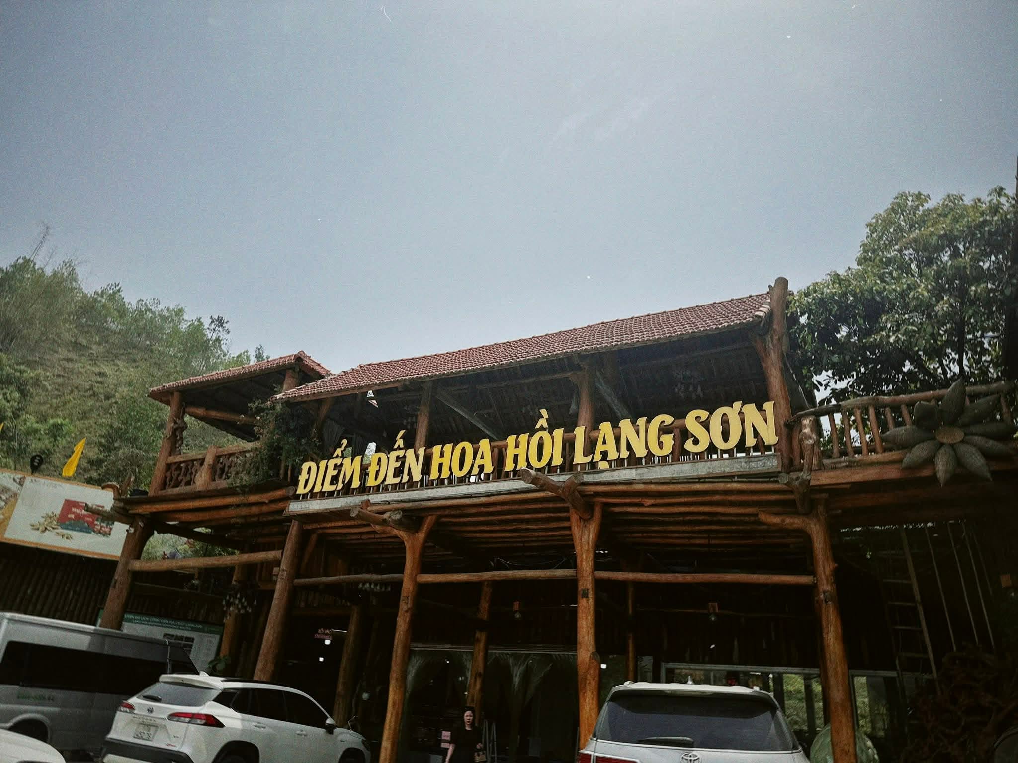 hoa hồi quán
