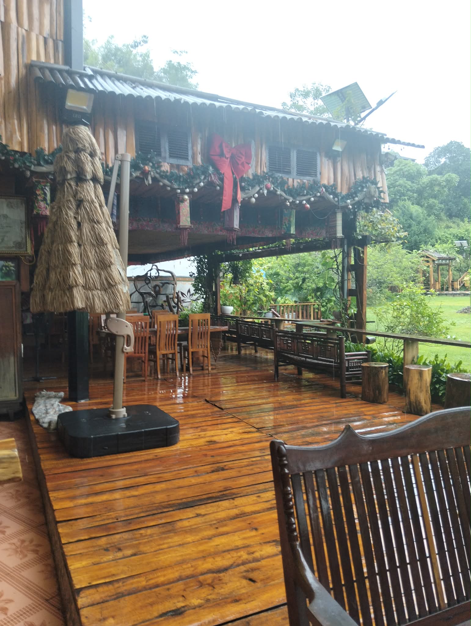 hoa hồi quán