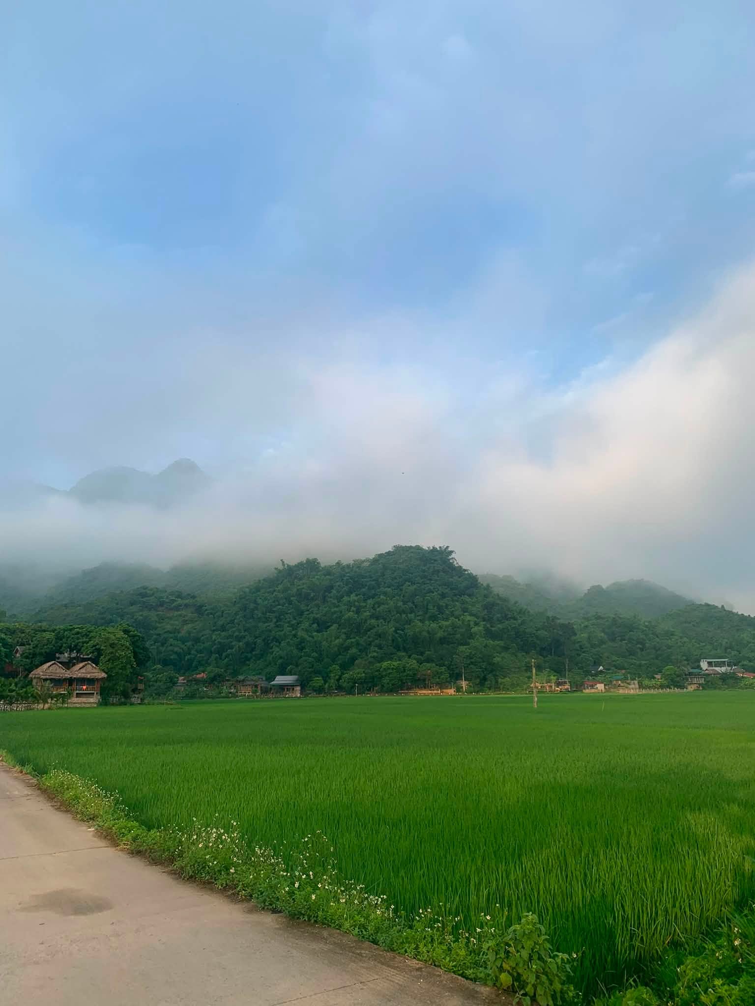 mai châu hòa bình