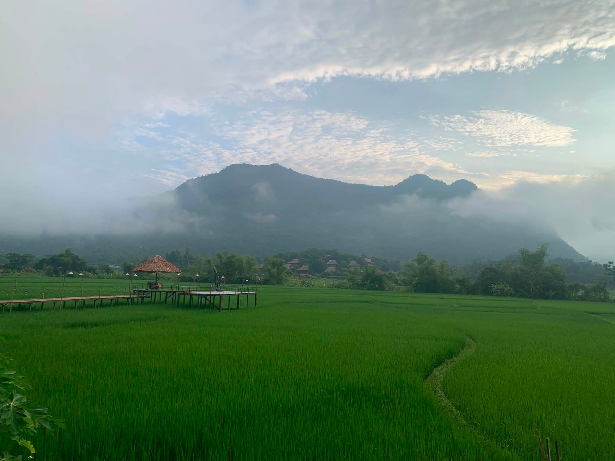 mai châu