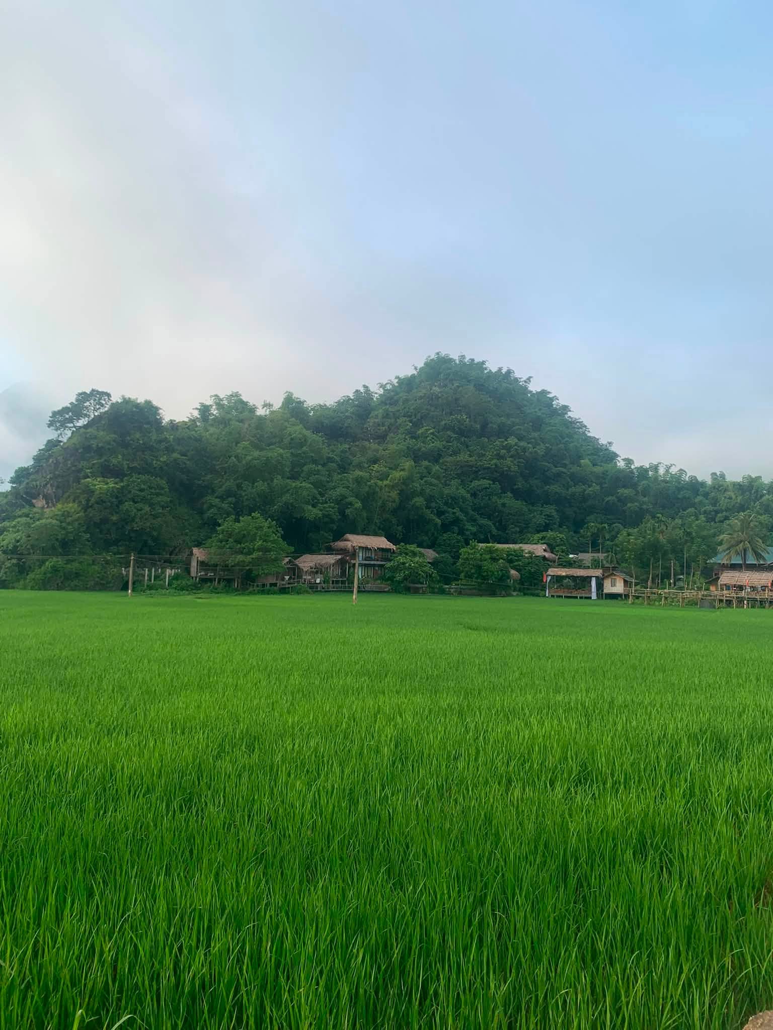 mai châu hòa binh