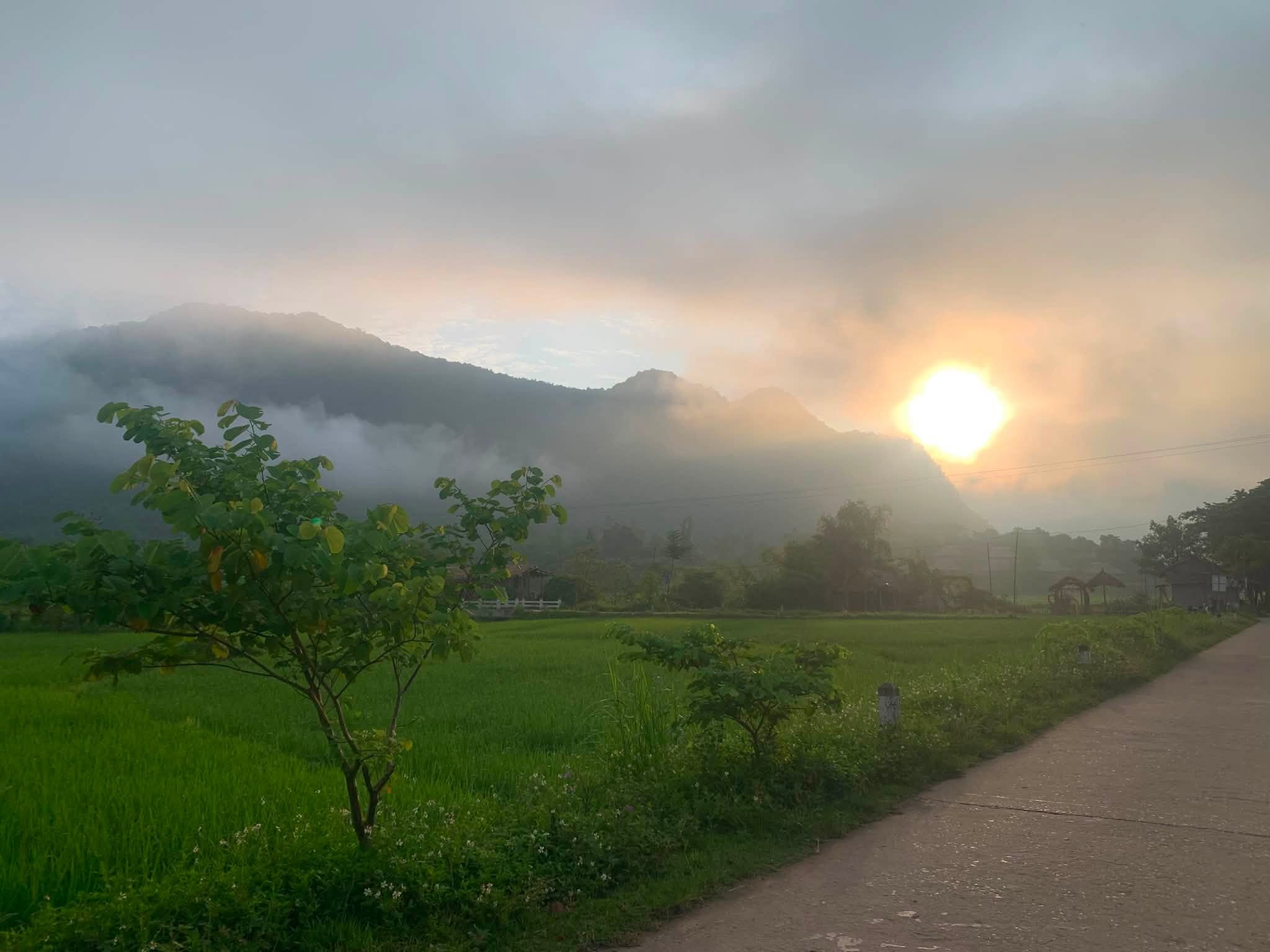mai châu