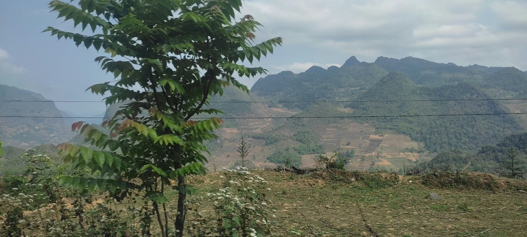 đường đi Simacai