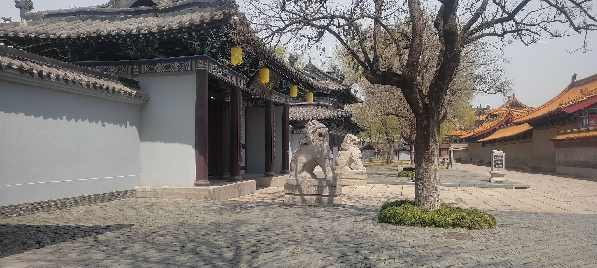 phim trường vô tích