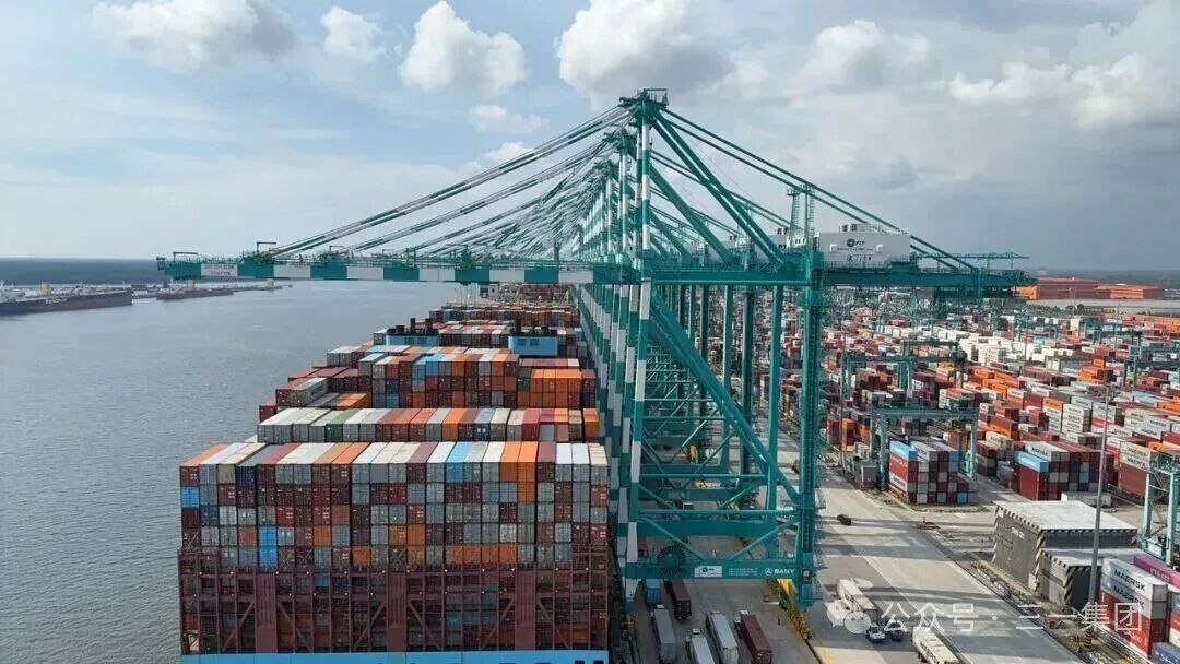 cẩu bờ panamax