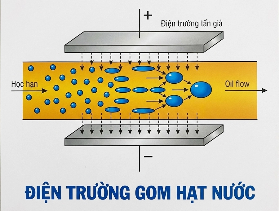 lọc
