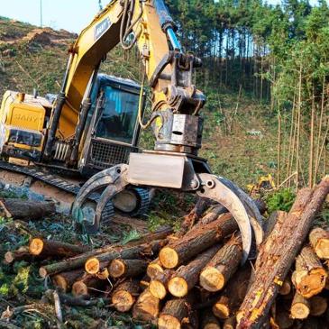So sánh khai thác thủ công vs cơ giới trong lâm nghiệp